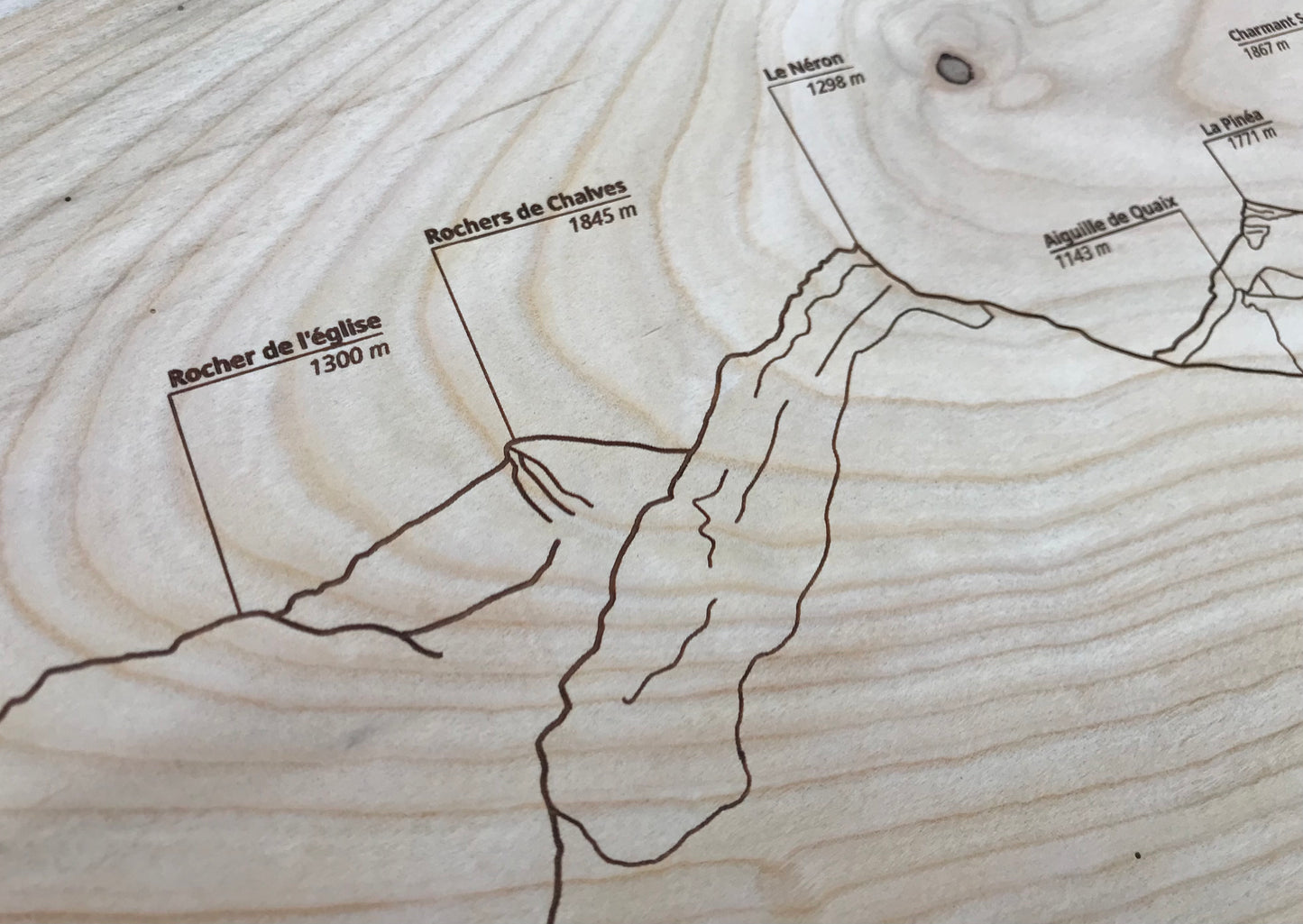 Panorama Chartreuse depuis Grenoble
