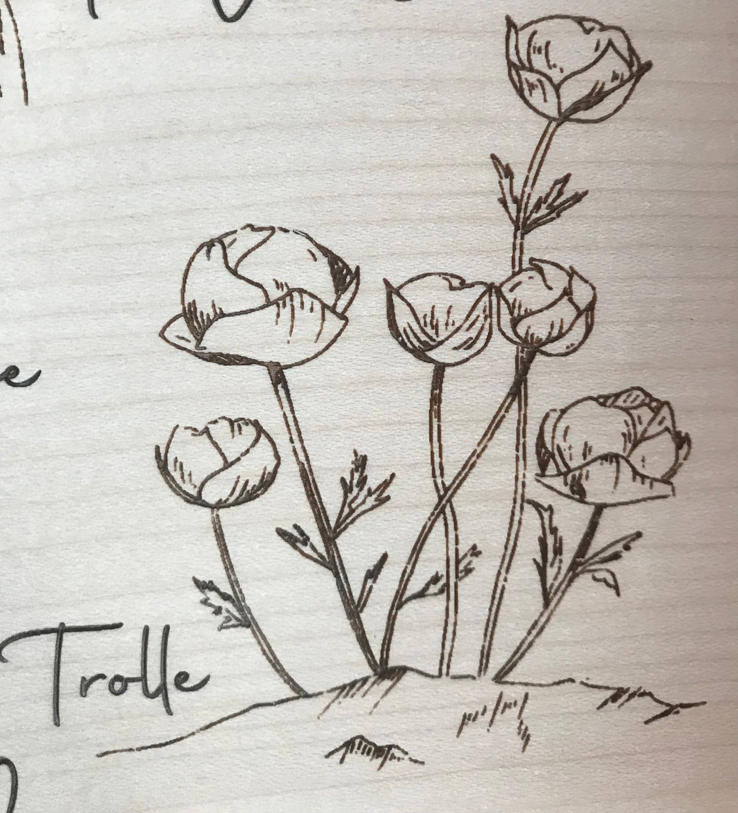 Tableaux faune et flore des Alpes