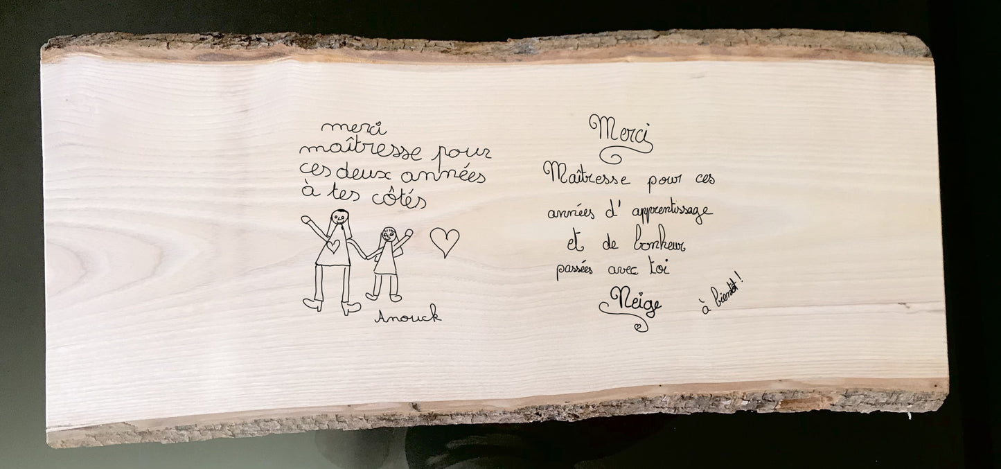 Panorama Mont-Blanc depuis Combloux