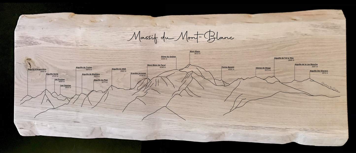 Panorama Mont-Blanc depuis les hauteurs de Megève