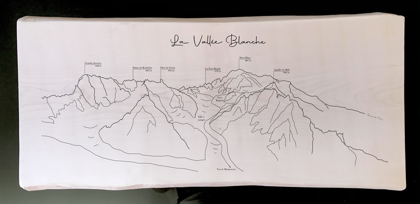 Vallée Blanche - aiguille du Midi (Chamonix)