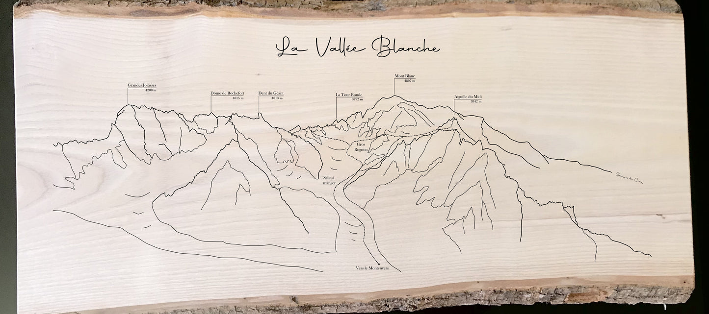 Vallée Blanche - aiguille du Midi (Chamonix)