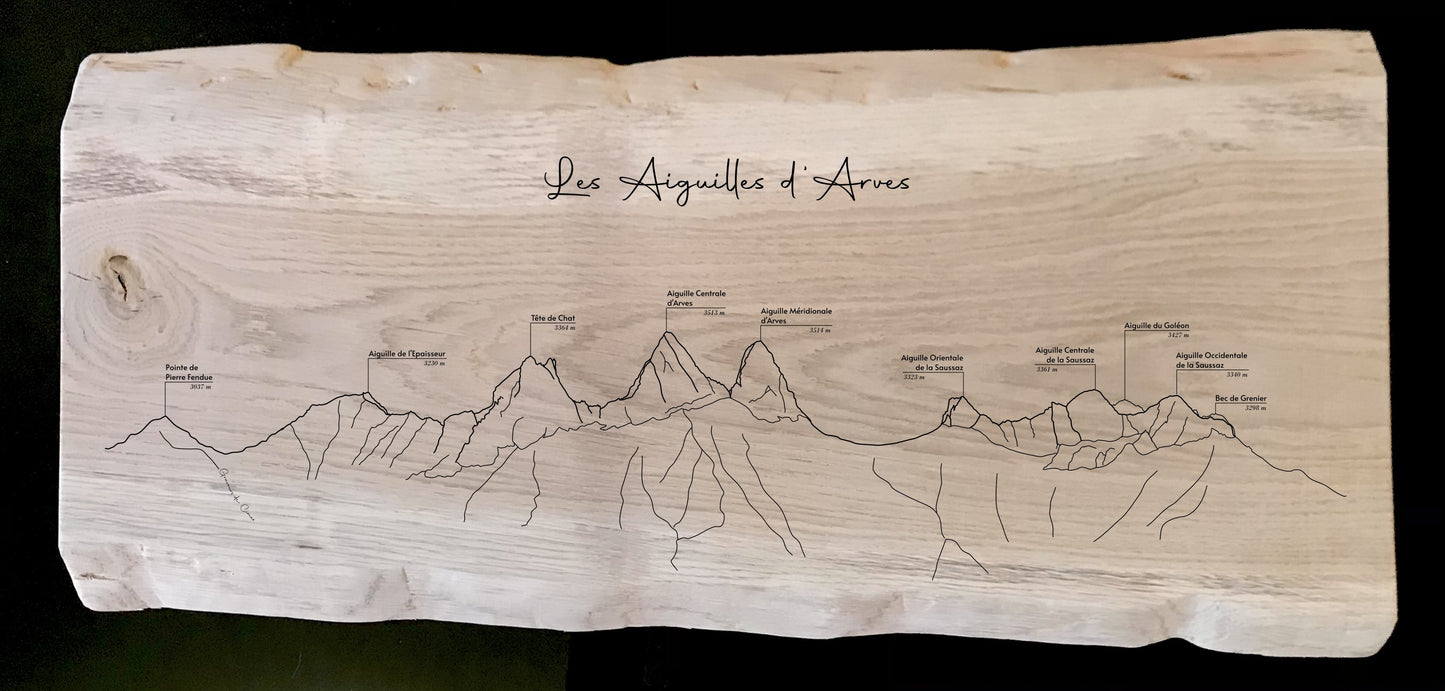 Panorama Aiguilles d'Arves