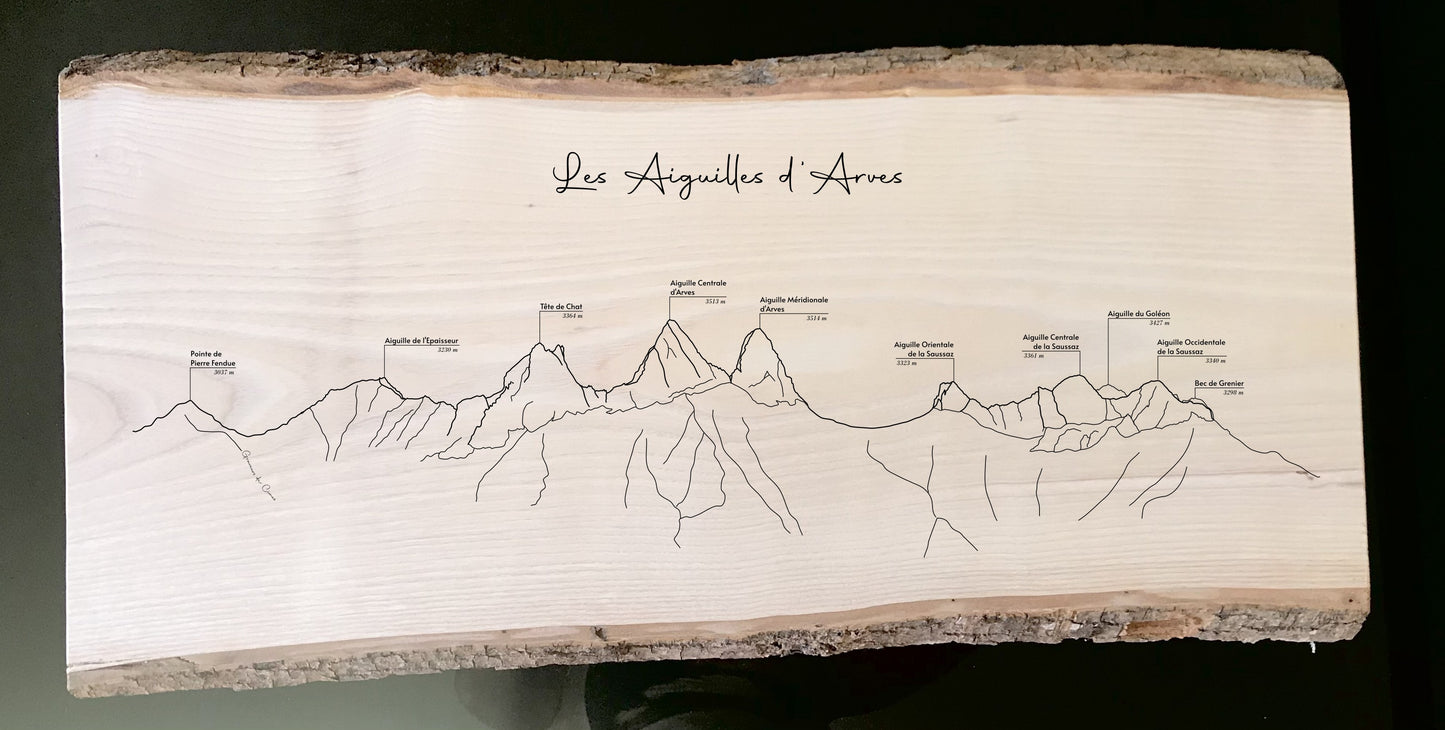 Panorama Aiguilles d'Arves